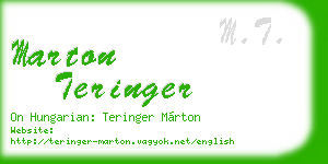 marton teringer business card